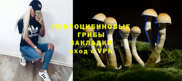 стаф Белоозёрский