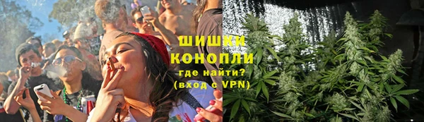 наркотики Белокуриха