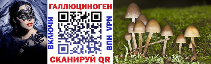 Псилоцибиновые грибы Magic Shrooms  хочу наркоту  Вичуга 