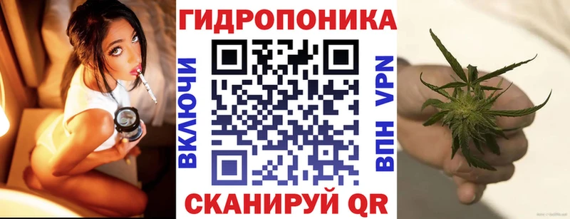 МАРИХУАНА White Widow  Вичуга 